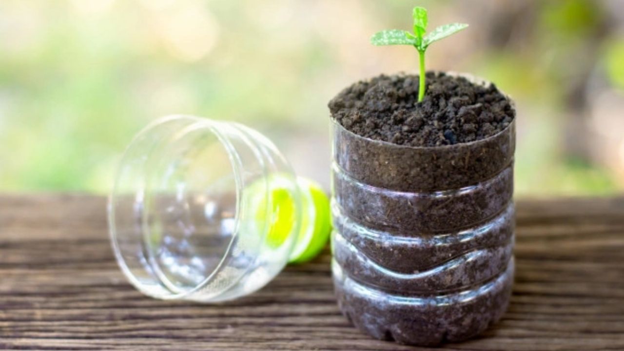 Transforma tus envases de plástico en macetas