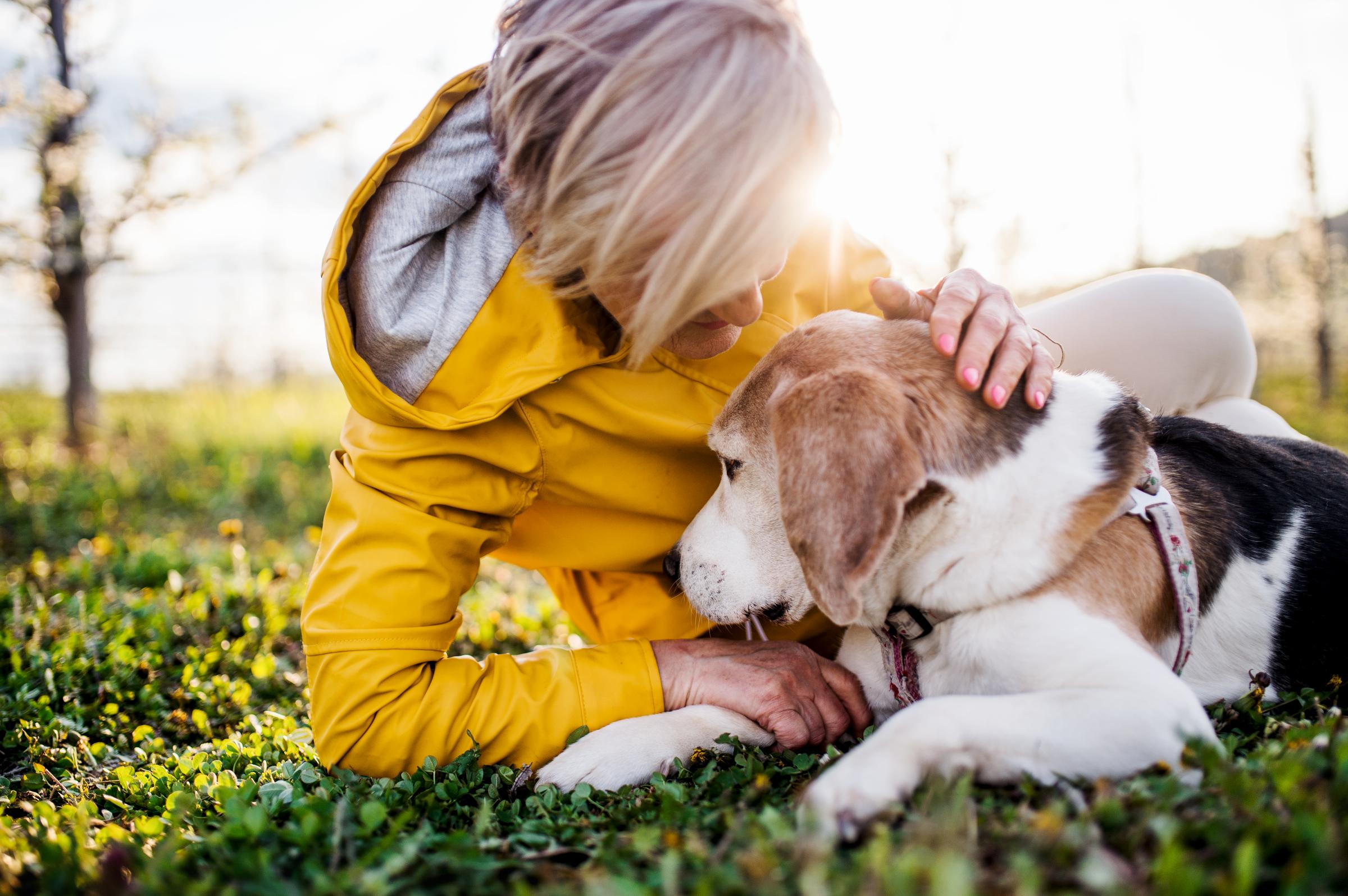 Consejos que te ayudarán a mantener el bienestar de tu mascota