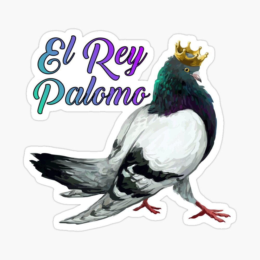 Rey palomo