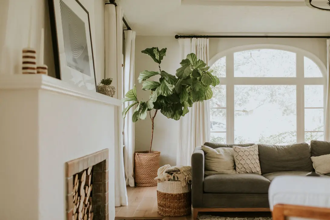 Infallible tips to transform your home into an oasis of comfort and happiness