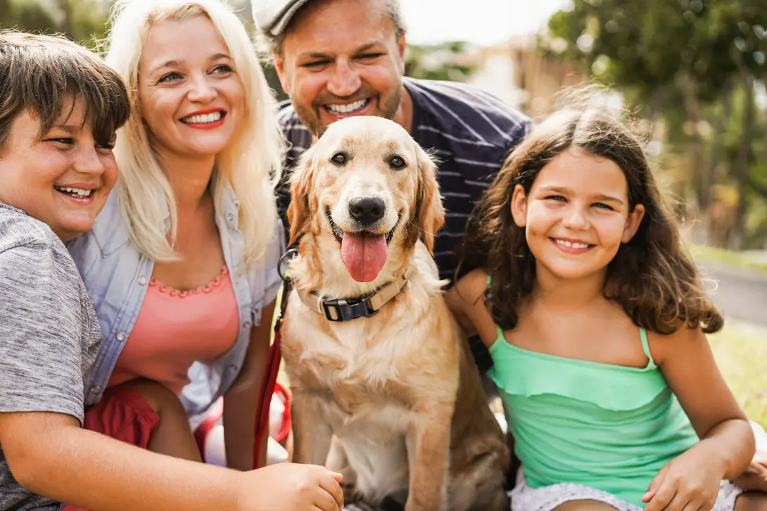 Dogs and children: Discover the ideal breeds for a happy coexistence